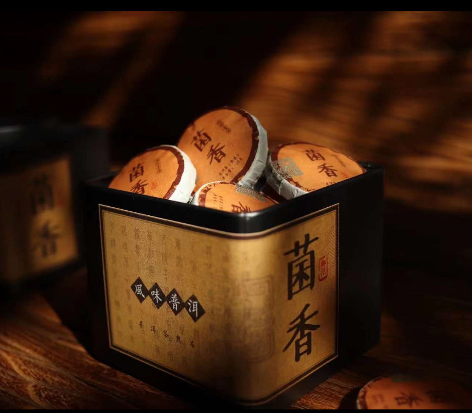 Mini ripe pu’erh 10 grams 2020