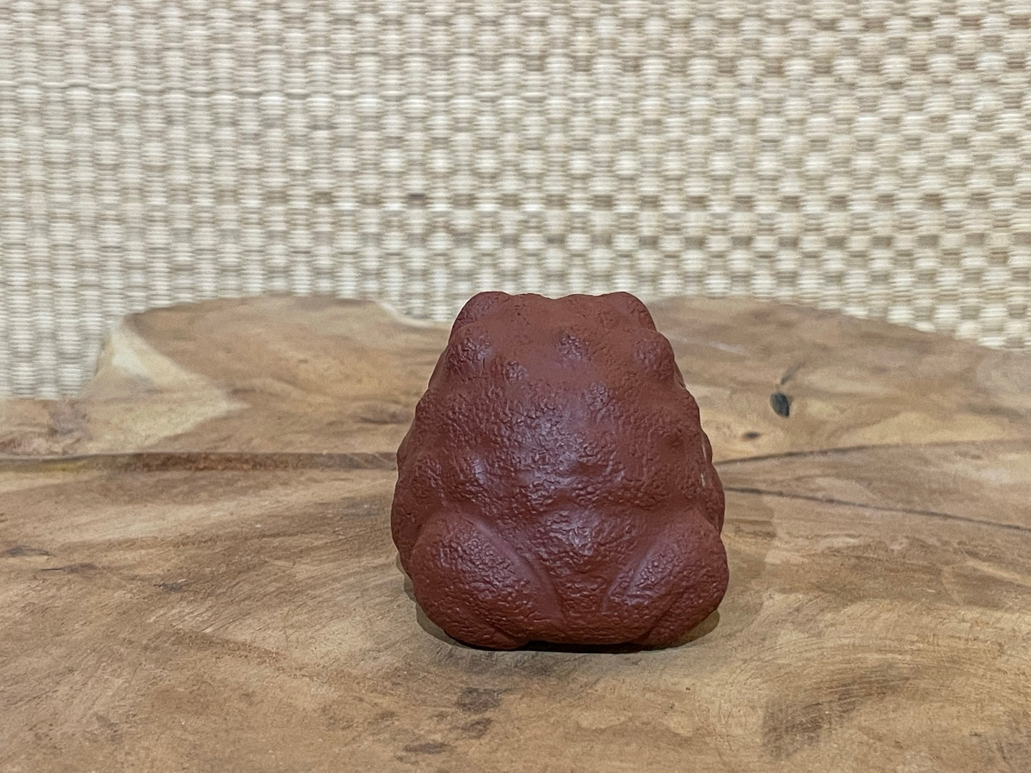 Tea Toad