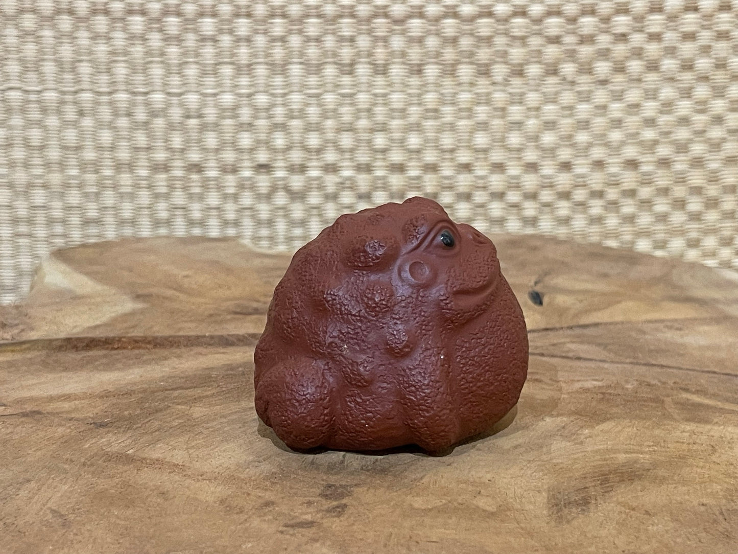 Tea Toad