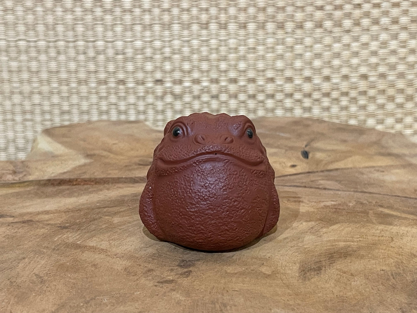Tea Toad