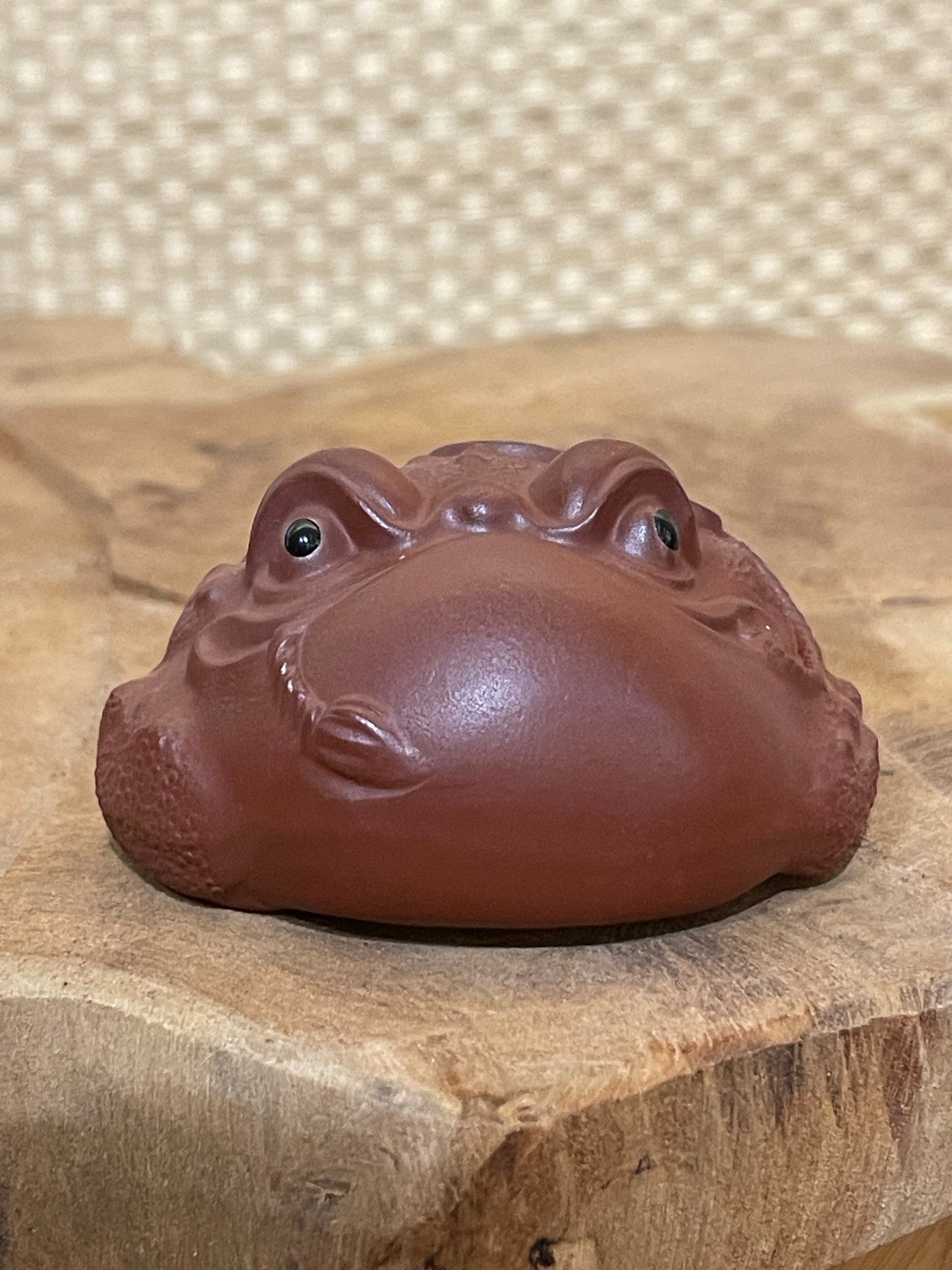 Small Tea Toad