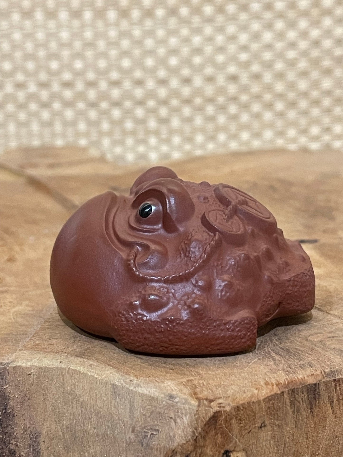 Small Tea Toad