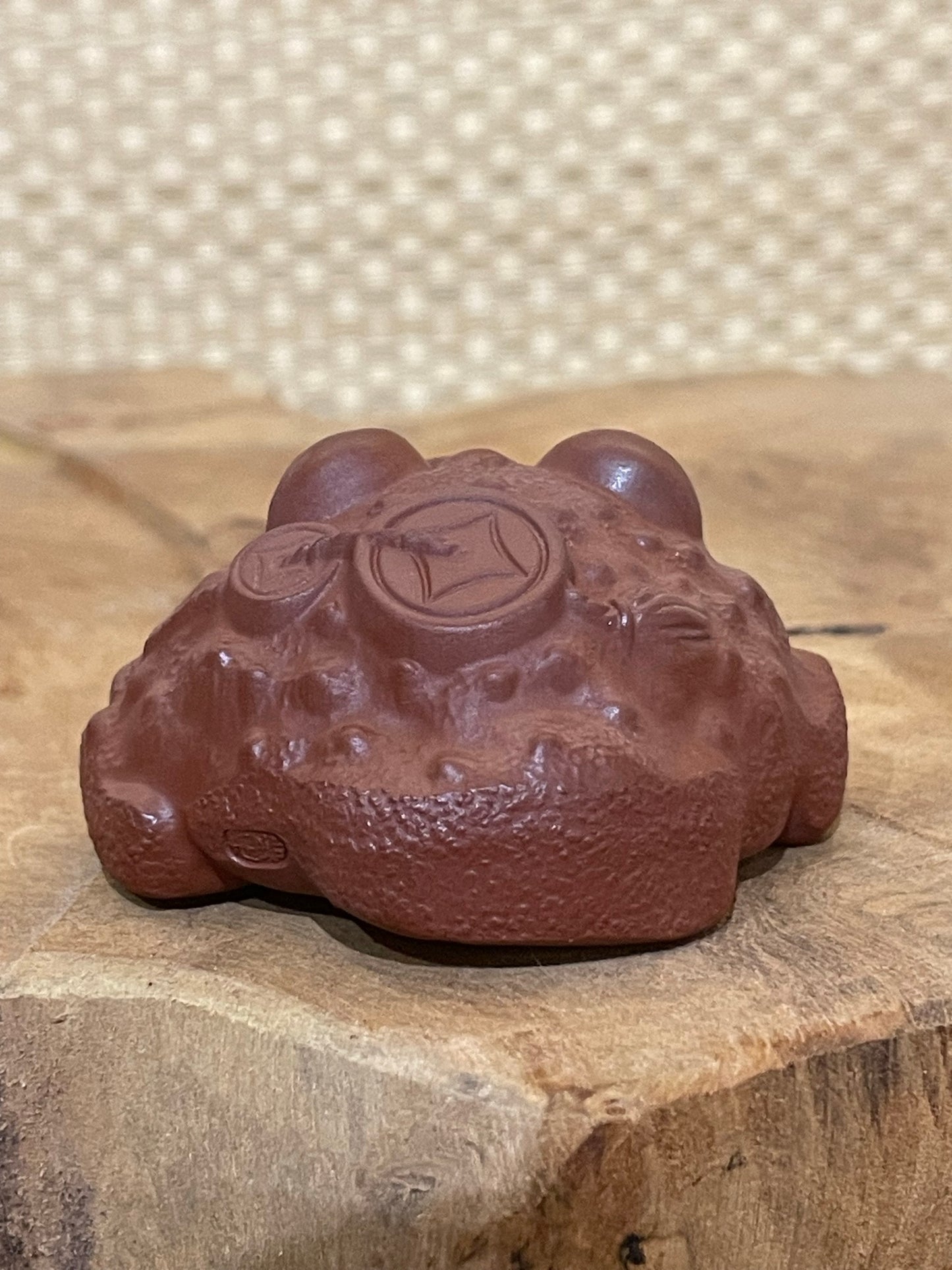 Small Tea Toad