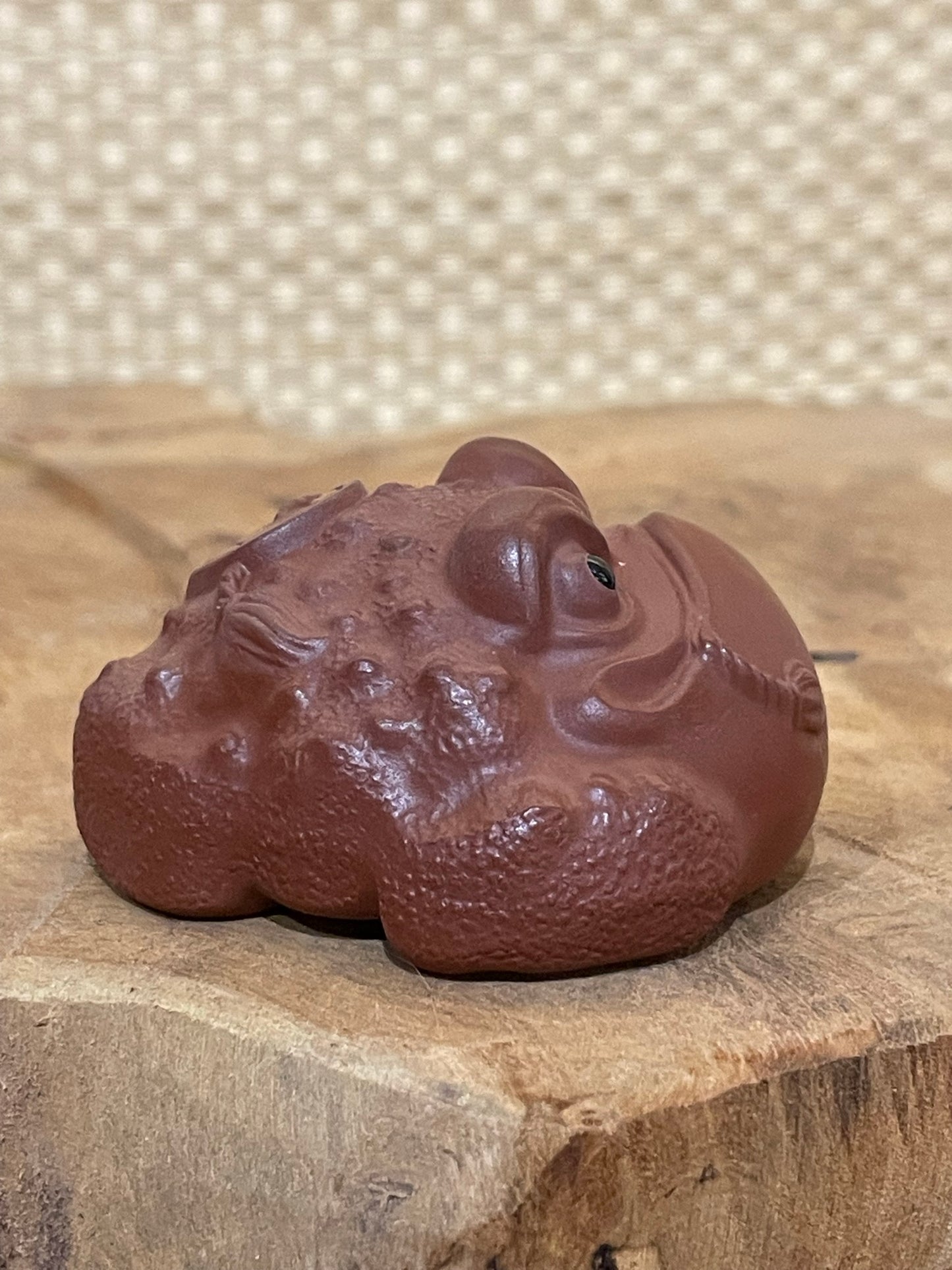 Small Tea Toad